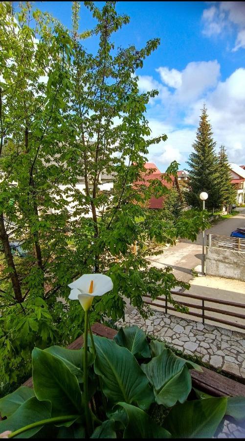 Apartments Sipcic Žabljak Dış mekan fotoğraf