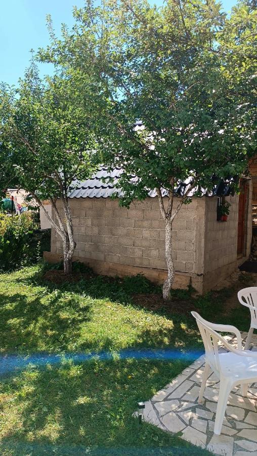 Apartments Sipcic Žabljak Dış mekan fotoğraf